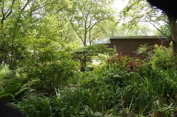 garden_36